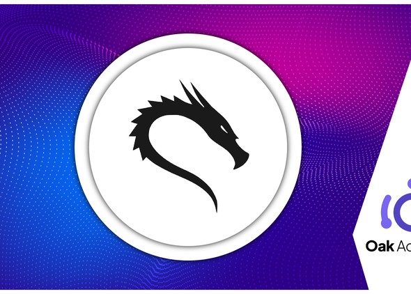 9aa115f1c2a4071716883397f748a903